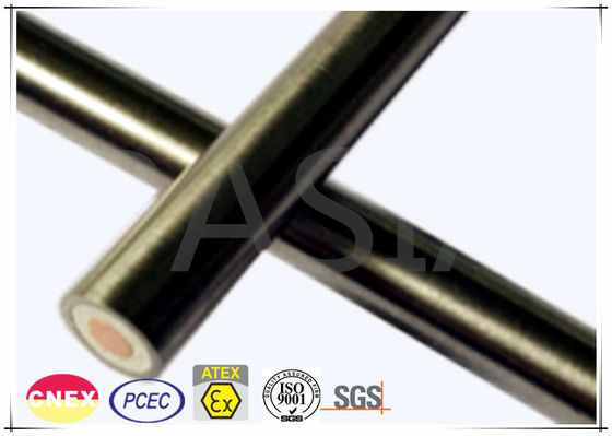 600 Volt Stainless Steel Sheath Mineral Insulated Cable with Single Core προμηθευτής